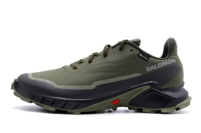 Salomon Alphacross 5 Gtx Παπούτσια Για Τρέξιμο-Περπάτημα (473103) Πράσινο